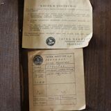 Set of Four Dining Chairs from Tatra Nabytok, Czechoslovakia, 1960s