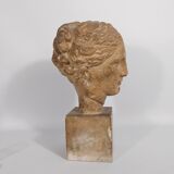 Plaster bust