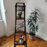 Old stepladder