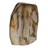 Free form sculpture in fossil wood