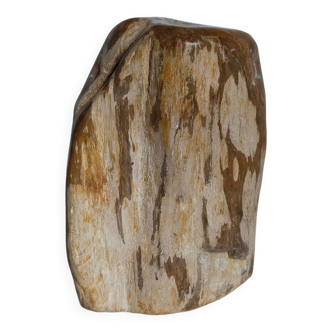 Free form sculpture in fossil wood