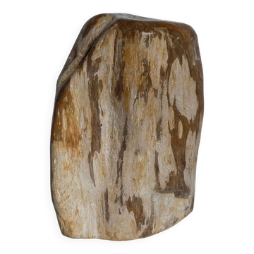 Free form sculpture in fossil wood