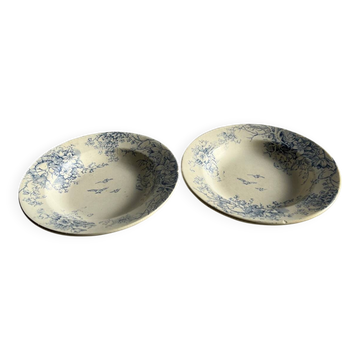 Set of 2 deep plates with floral decoration.