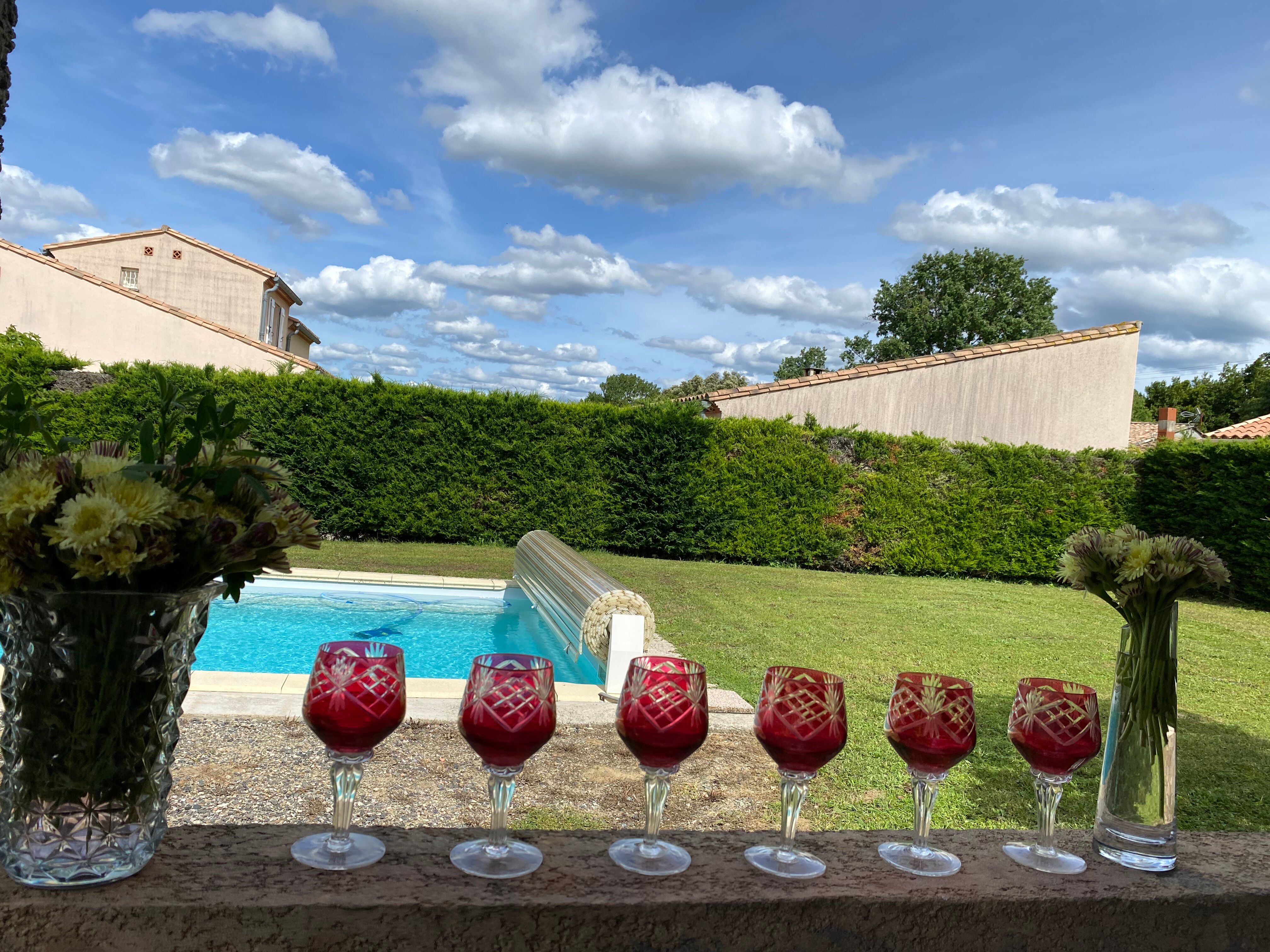 Set of 6 cut crystal wine glasses lined with ruby red (Style Ro)