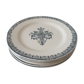 Set of 6 saline plates