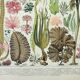 Old engraving 1898, Algae, marine plant, flora • Lithograph, Original plate