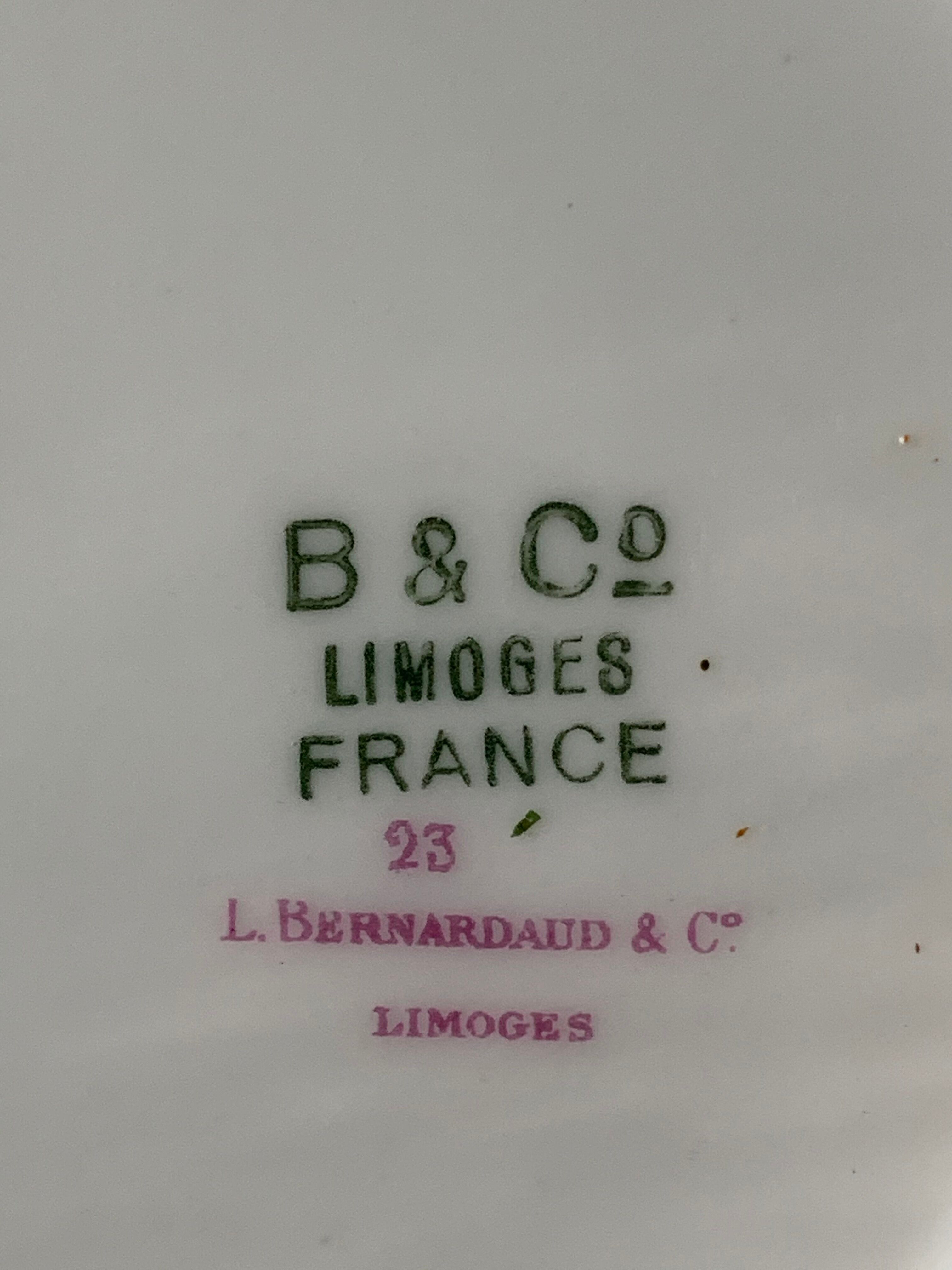 Dessert service 10 plates and a Bernardaud Limoges porcelain cake dish