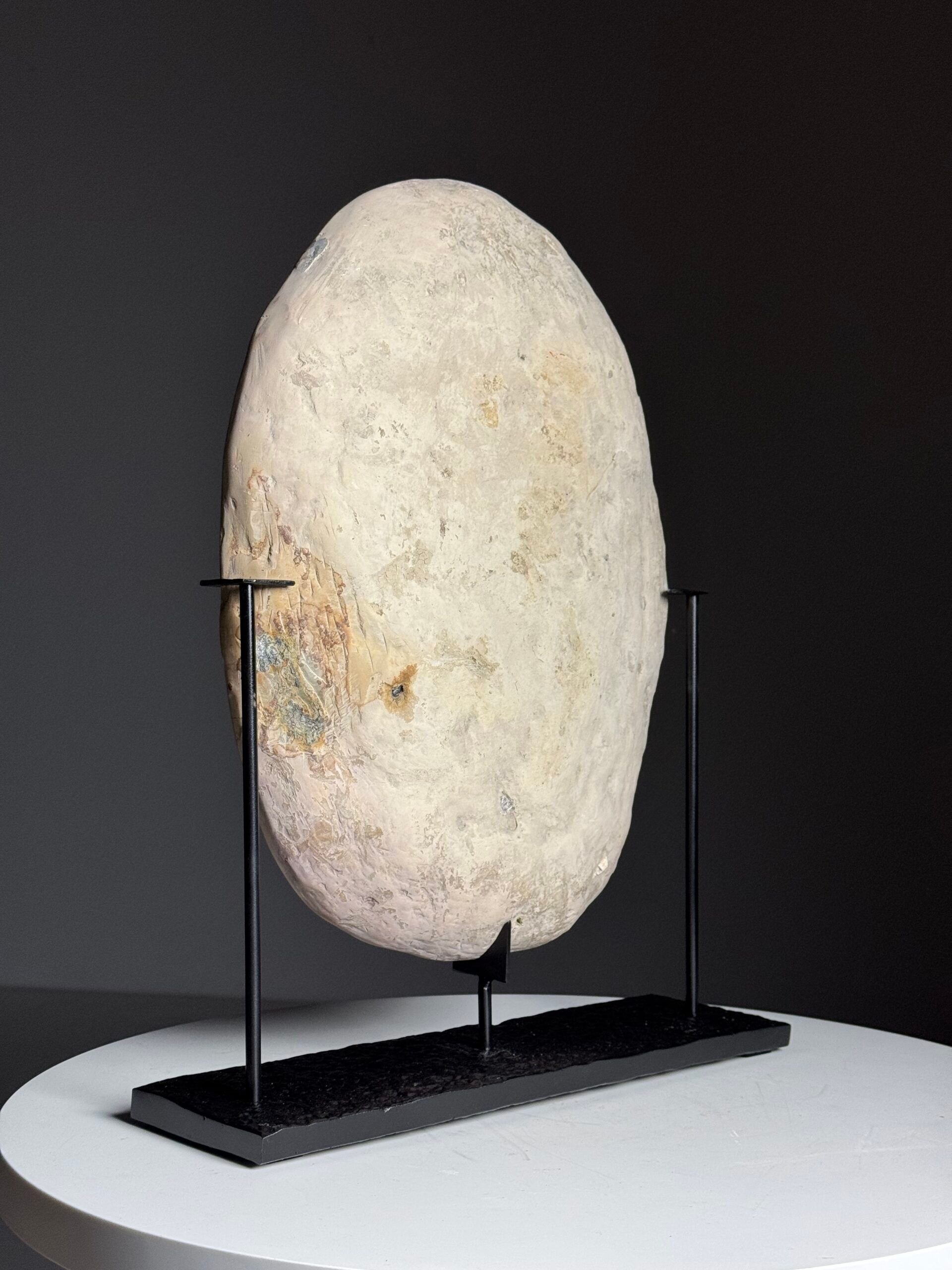 Septaria on custom stand