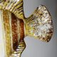 Vintage ceramic wall fish in glazed handmade style, 1970s-1980s.