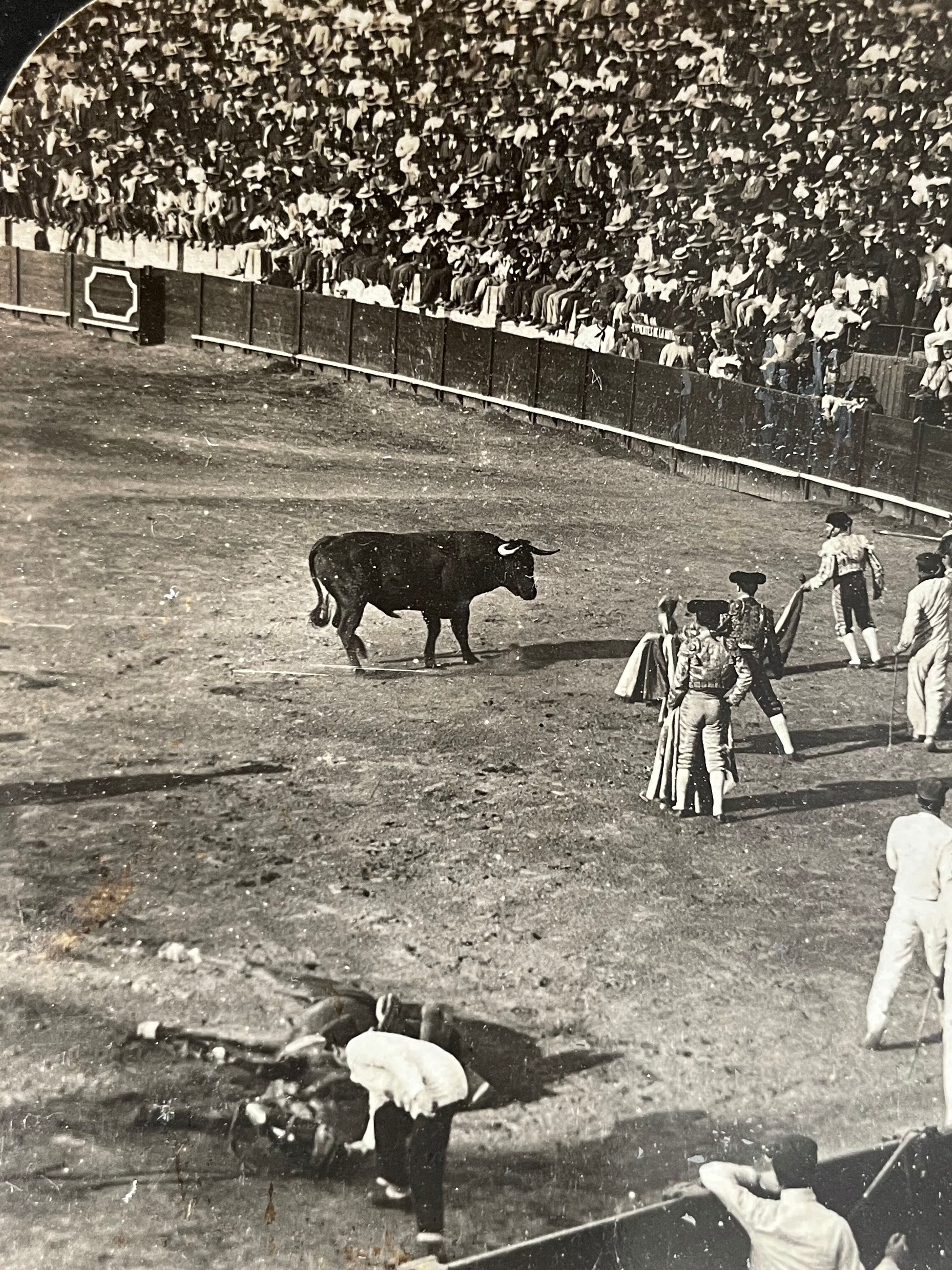 Old photography stereo, stereograph, luxury albumine 1903 bullfight, Seville, Spain