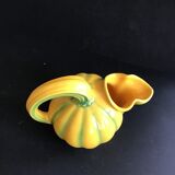 Pitcher melon - Longchamp - France