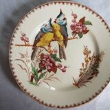 Pair of Luneville earthenware plates with bird decor