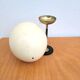Ostrich egg on a brass stand