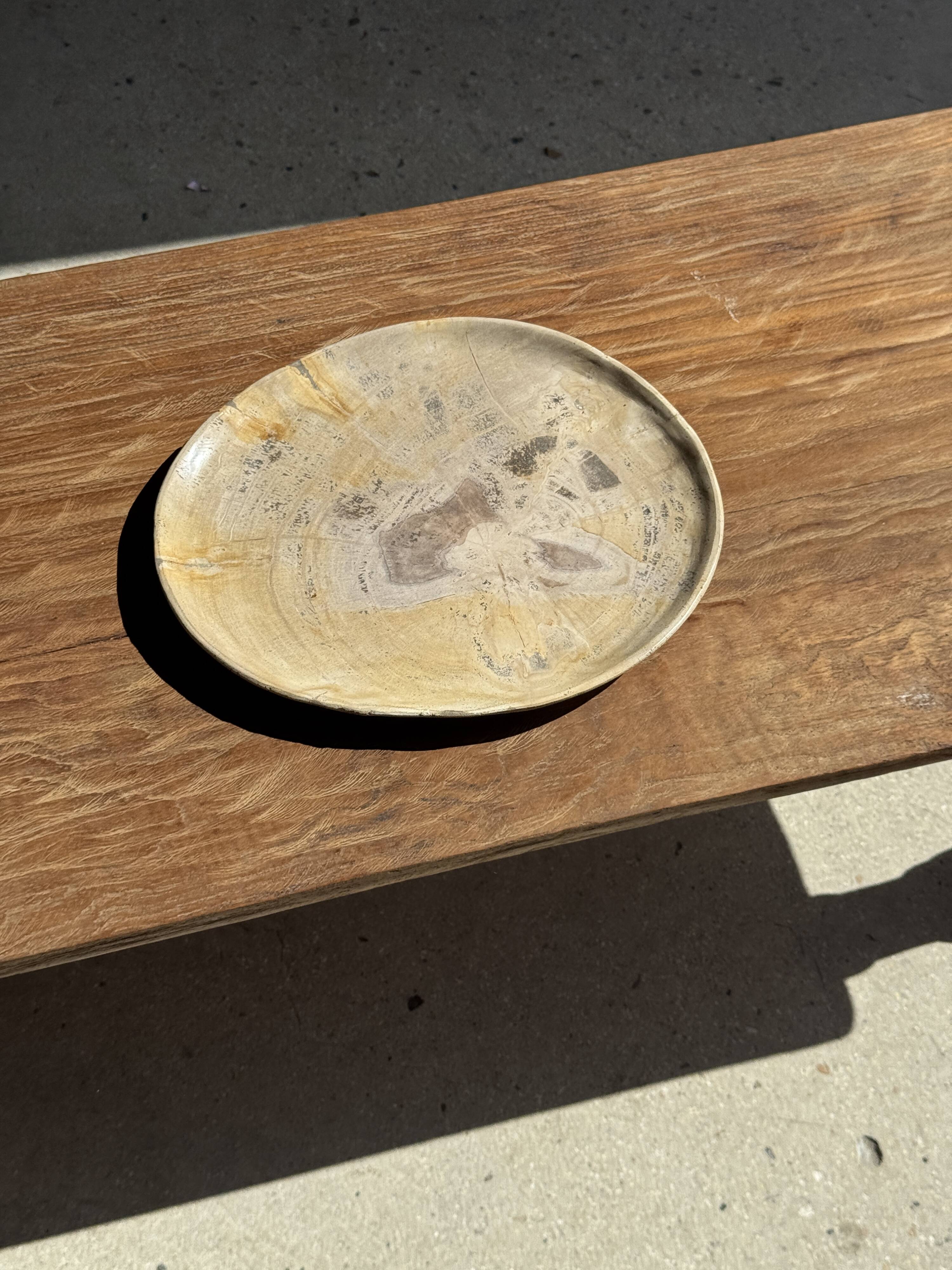 Petrified wood catchall or dish in beige with several grey spots in the centre.