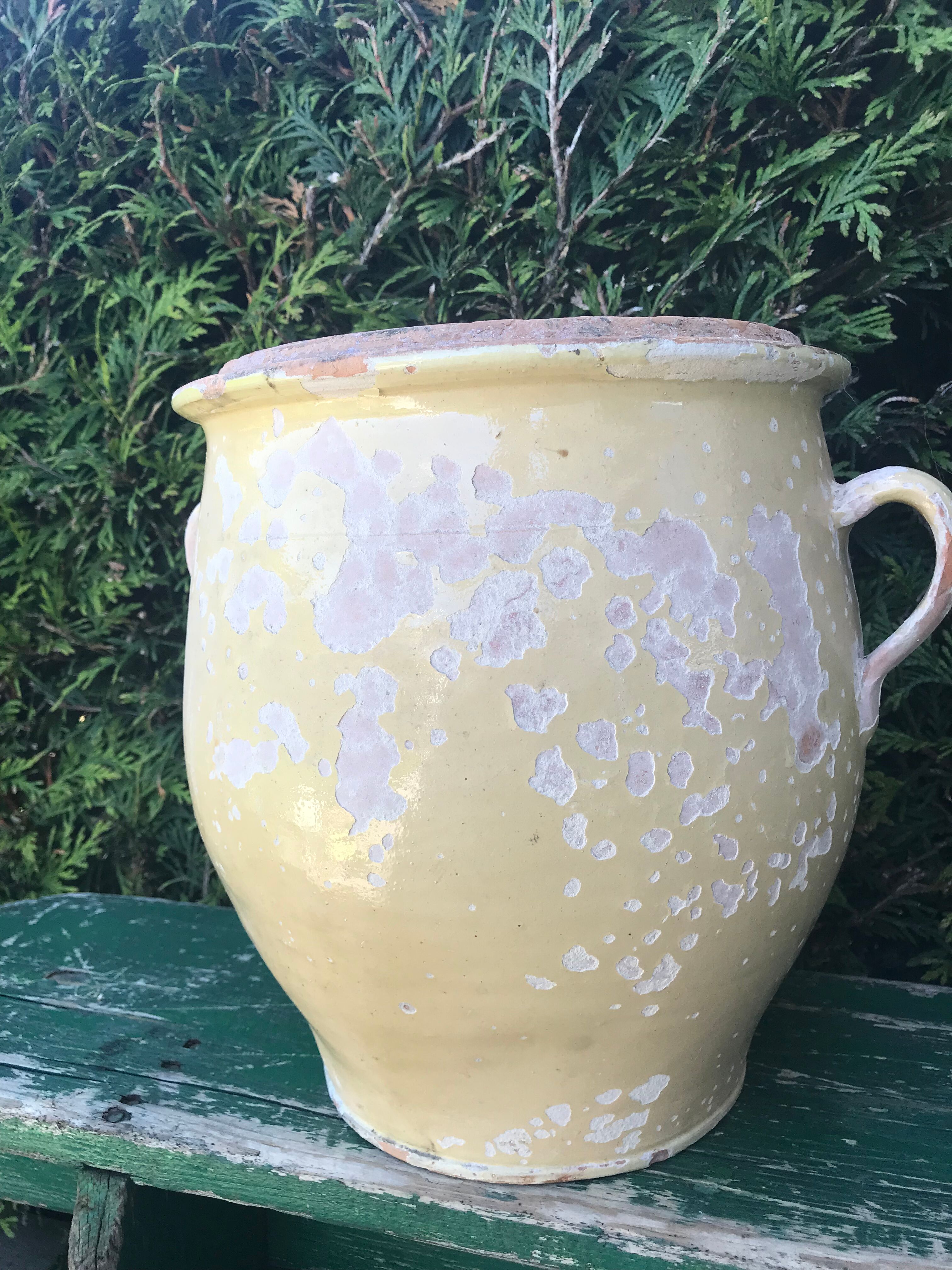 Old ceramic pot