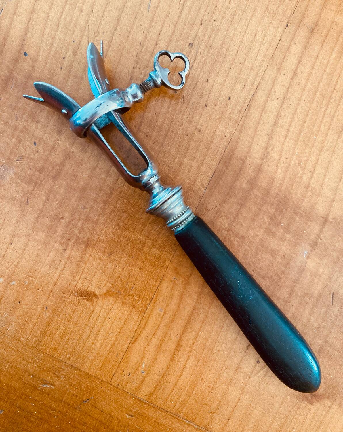 Napoleon III leg of lamb fork from the 19th century with a silver-plated handle and an ebony handle.