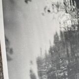 Garden and lake photo, ca 1960