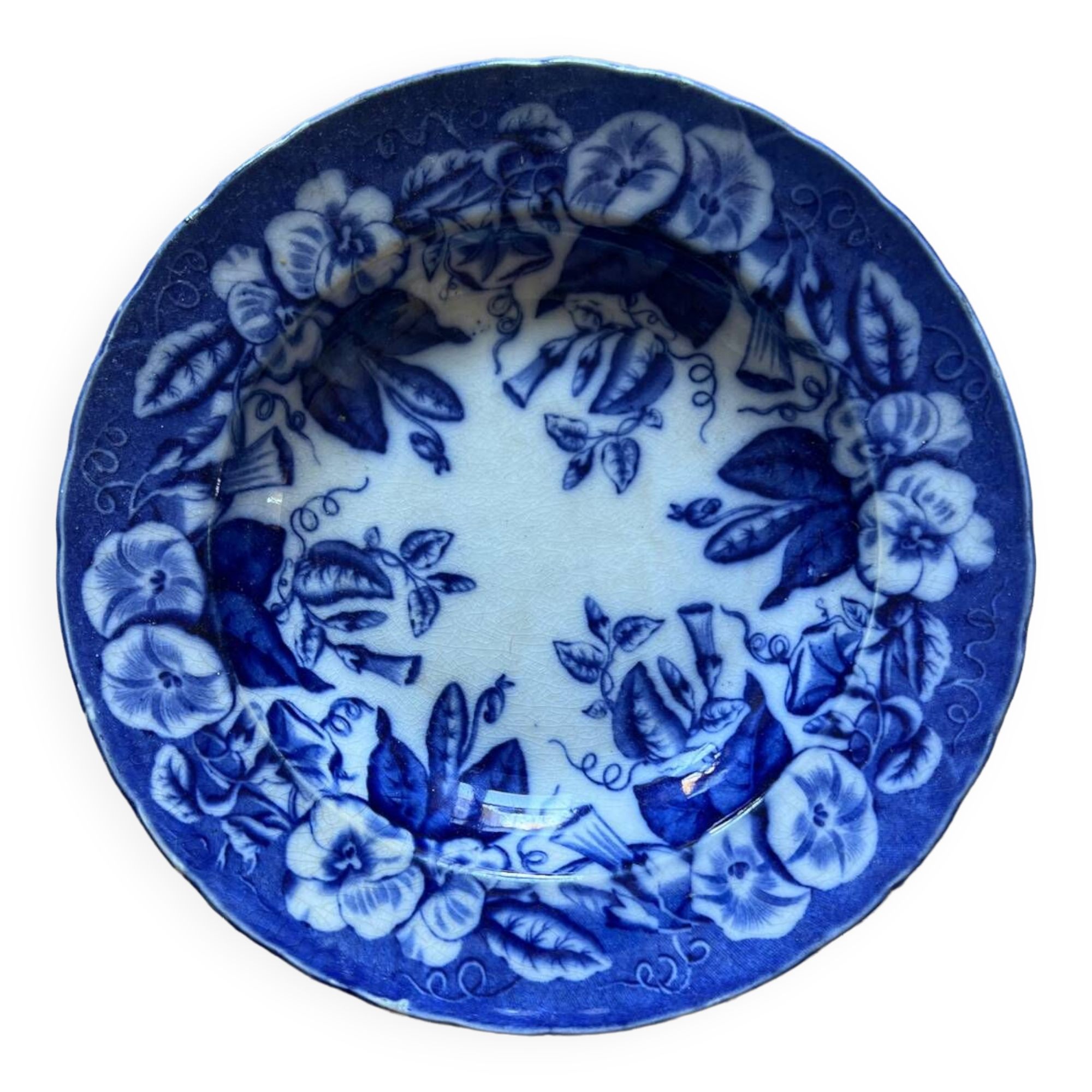 Volubilis plate J Vieillard and Johnston