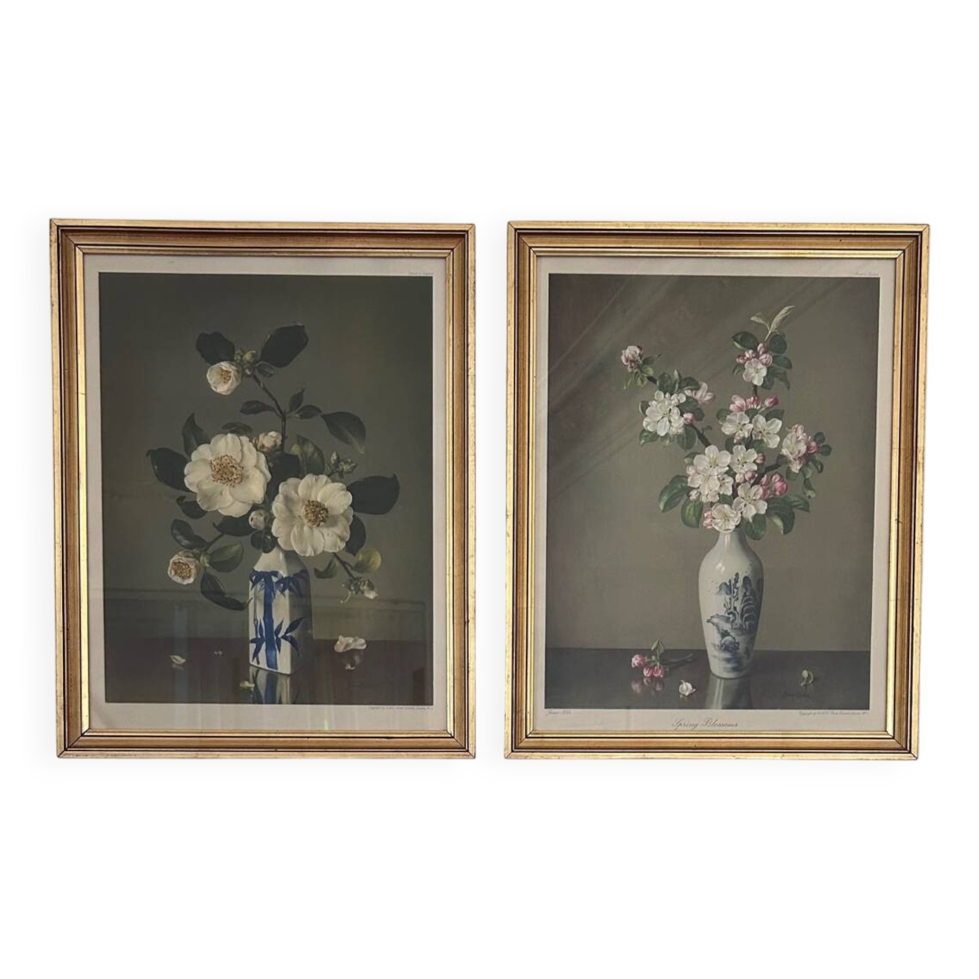 Reproductions florales de James Noble