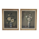 Reproductions florales de James Noble