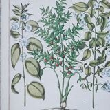 Lot 4 old herbarium boards