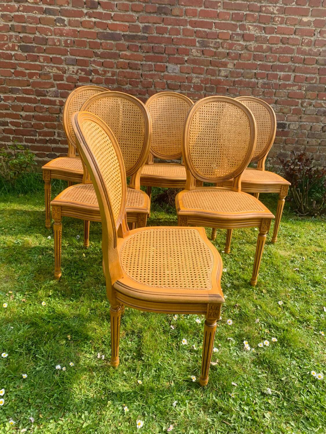 Set of 6 Louis XVI style cane medallion chairs