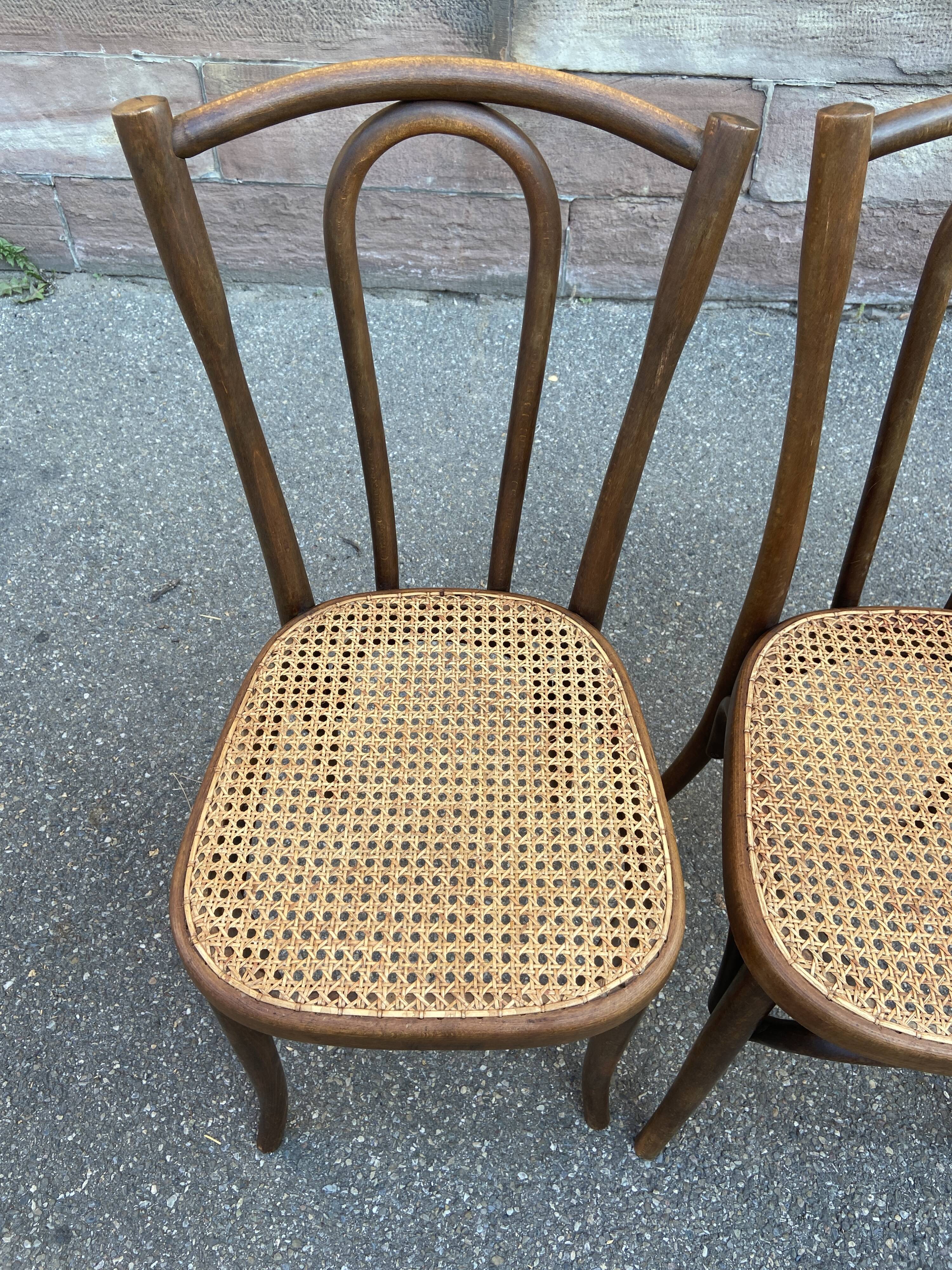pair of Viennese chairs Bistrot café