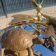 Vintage bronze turtle ashtray