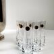 Vodka freshener with 6 glasses in Portieux crystal