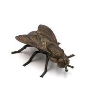 Metal ashtray in the shape of a fly, 1950s