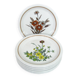 6 small white stoneware dessert plates - floral decoration - Country Charm Collection