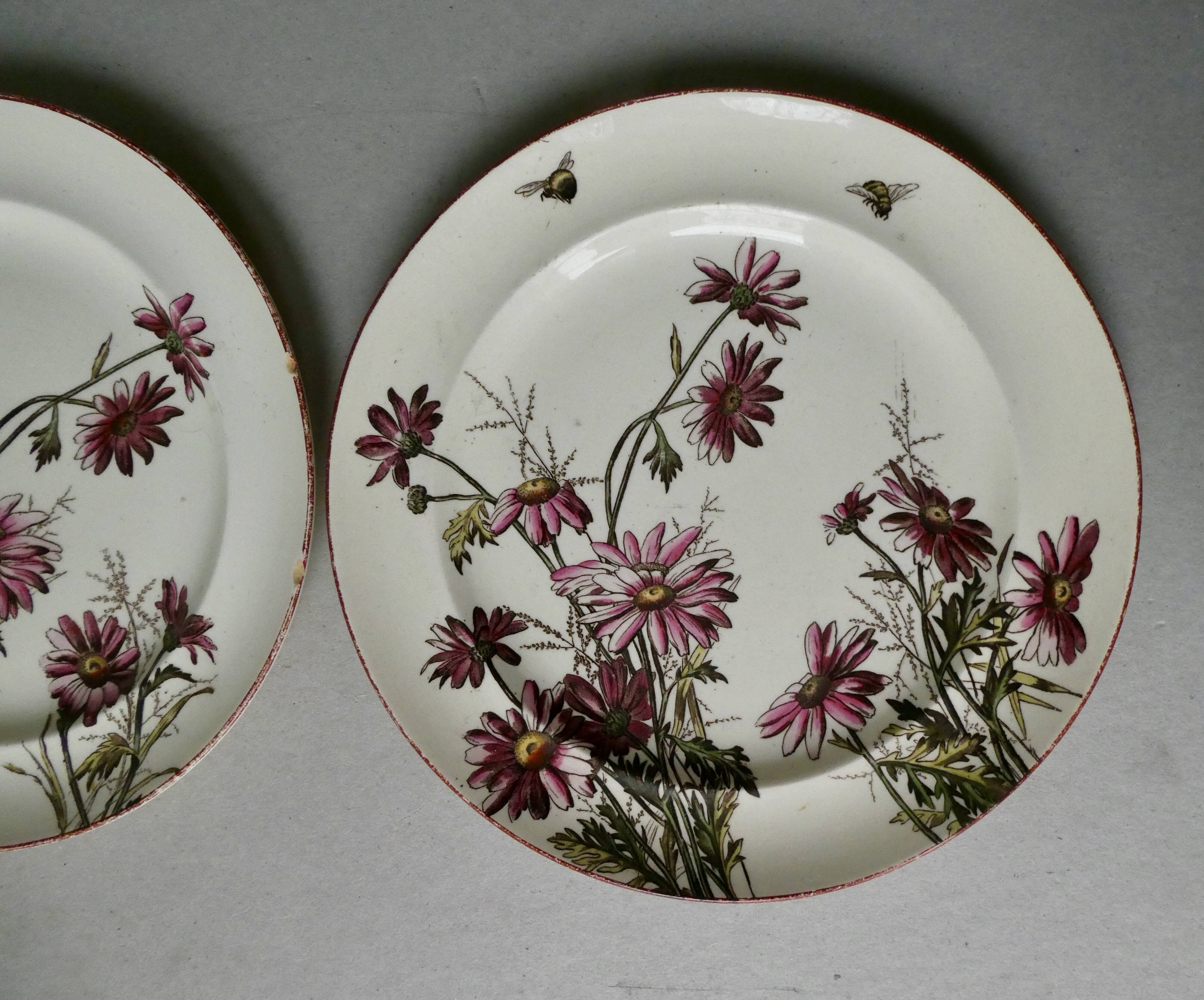 Set of 2 plates decorated flowers and bees, late 19th century