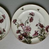 Set de 2 assiettes décor fleurs et abeilles, fin XIXème