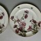 Set de 2 assiettes décor fleurs et abeilles, fin XIXème