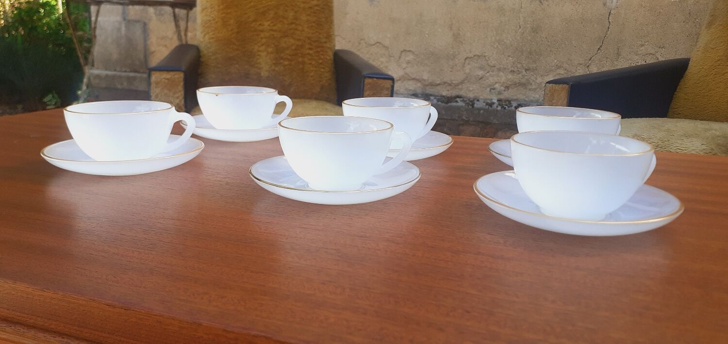 6 cups vintage year 60 Arcopal model Harlequin opaline white