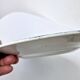 Old Iron Earth Flat Plate Saint Amand Amandinoise Lily Model