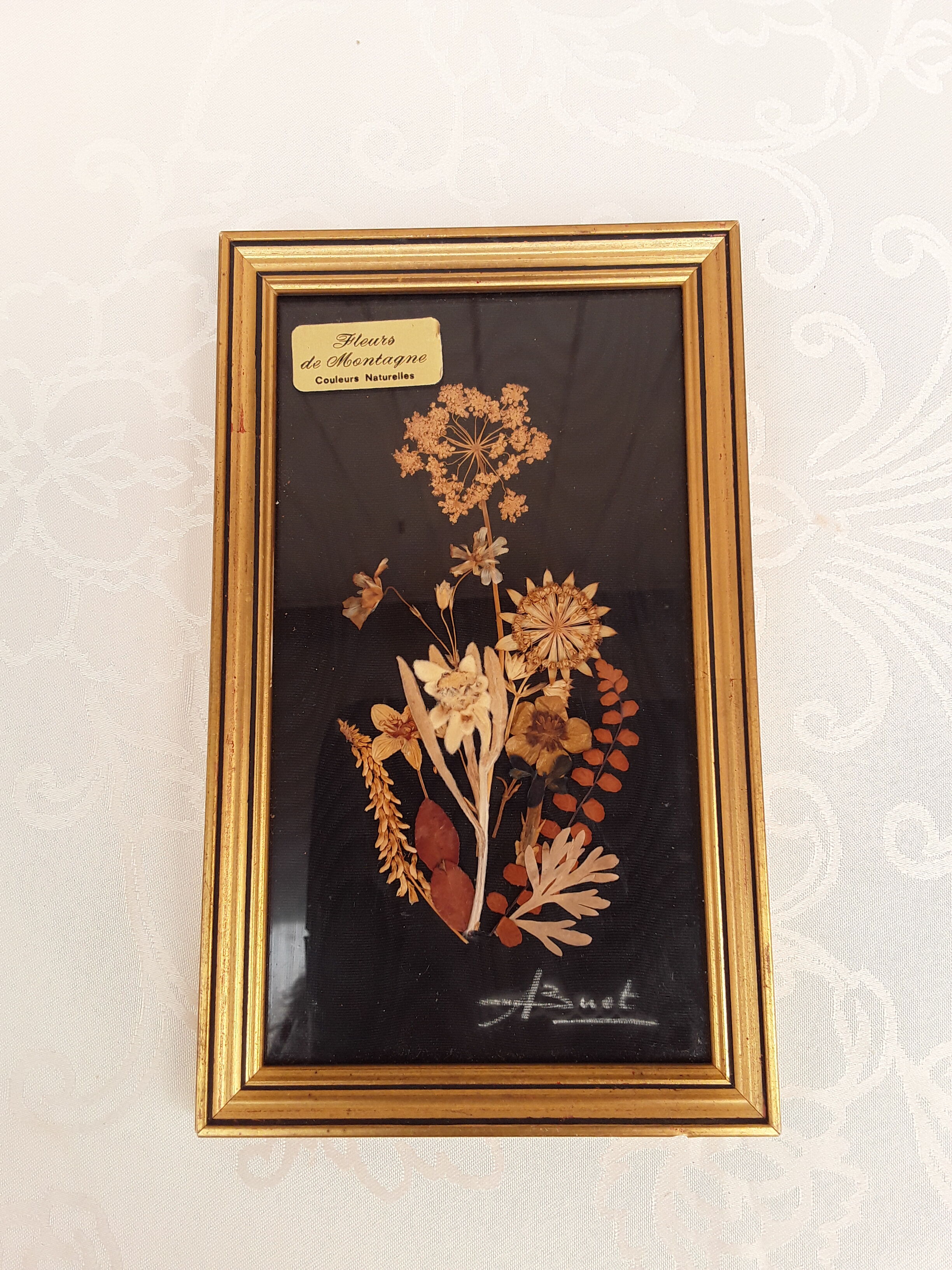 Painting dried flowers signed