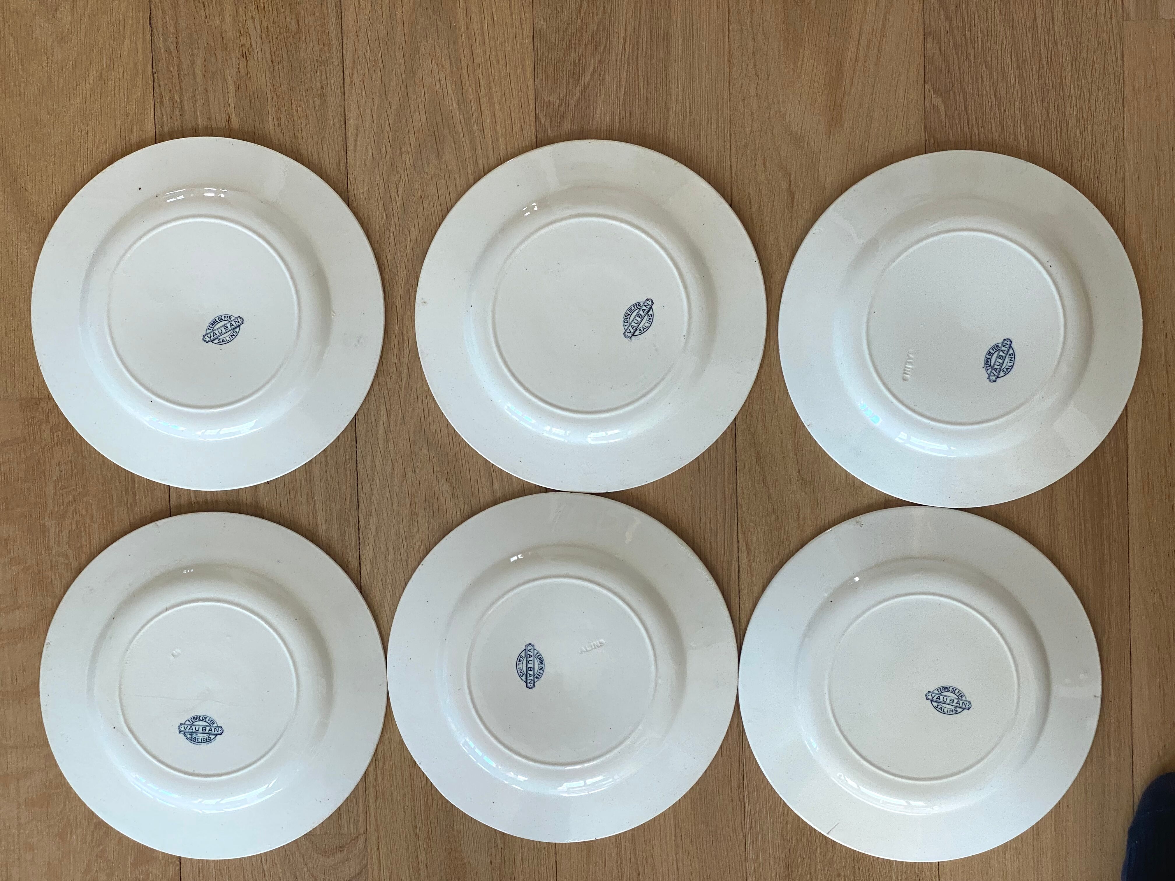 6 plates Iron Earth. Salins model Vauban