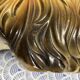 Italian Majolica Shitzu Dog Sculpture by Bravo Italy 1970