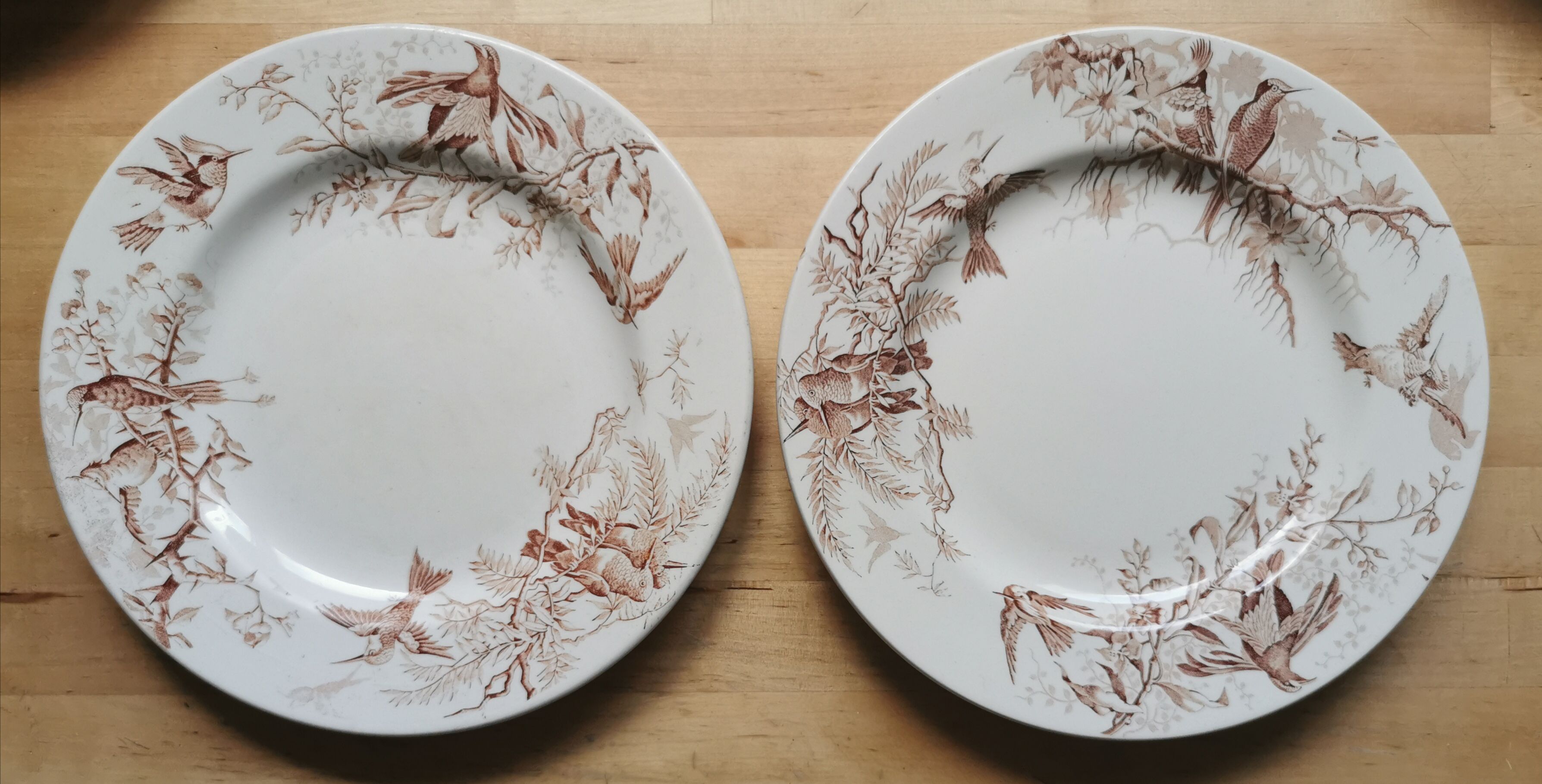 Lot of 8 Colibri luneville plates