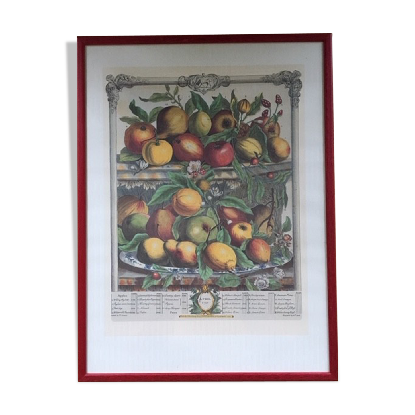 Ancient English botanical board of April 1732