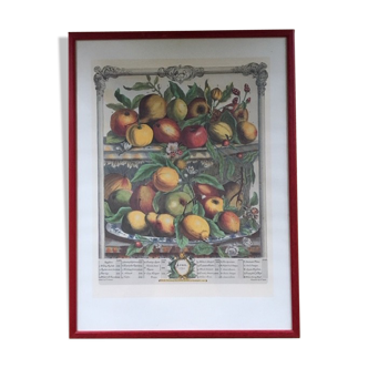 Ancient English botanical board of April 1732