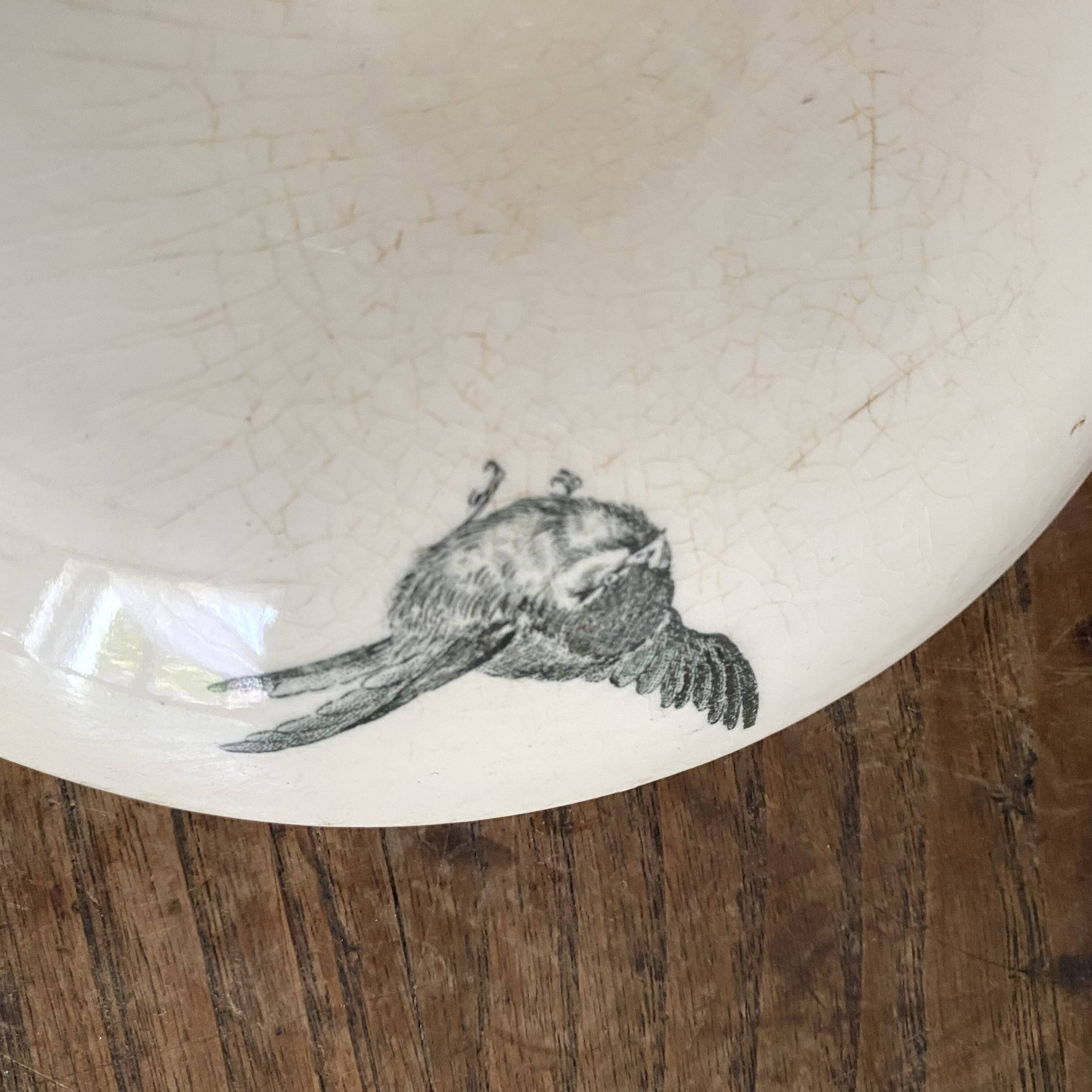 HB&Cie ironstone fruit bowl decorated with flowers, birds and butterflies