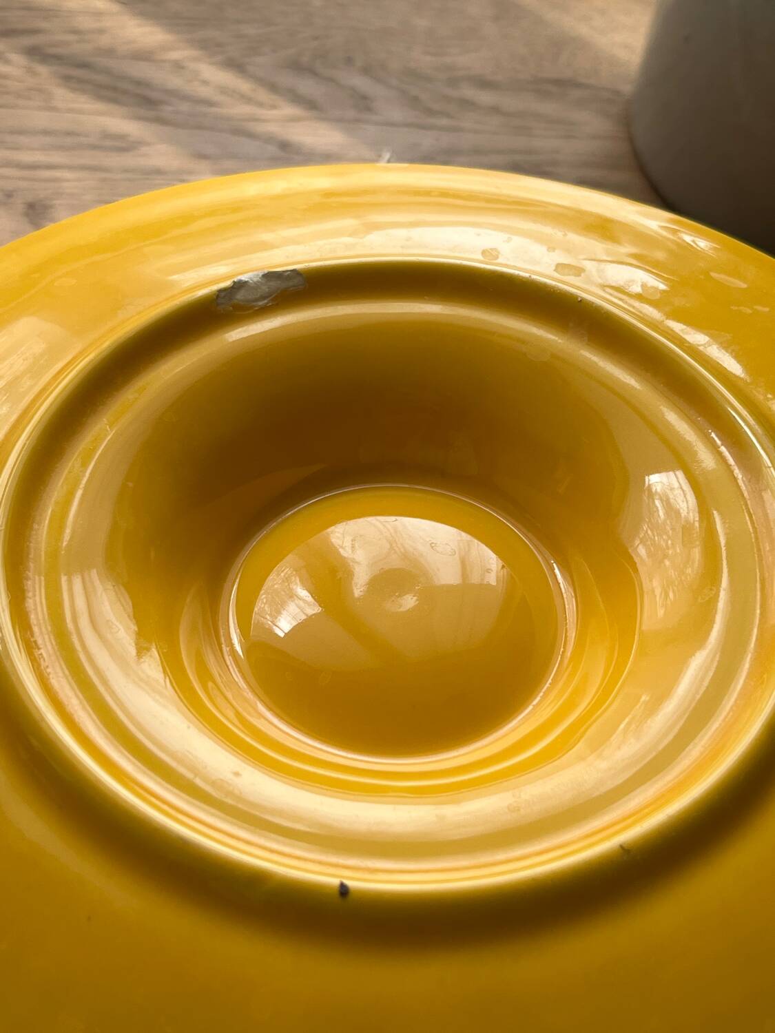 Earthenware shell plates