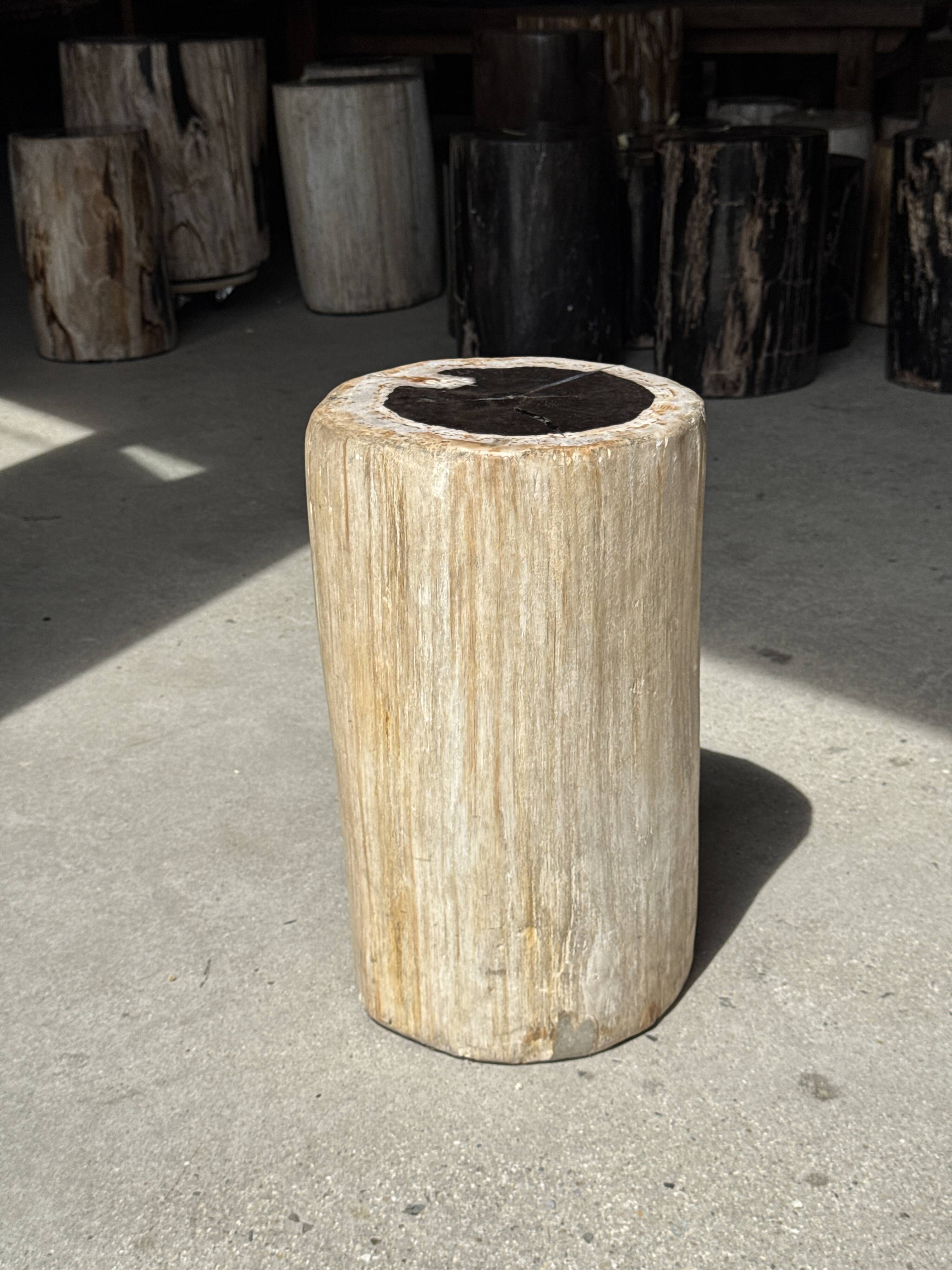 Table d'appoint en bois pétrifié, écorce blanche