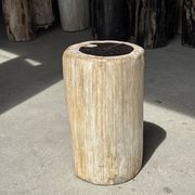 Petrified wood side table, white bark