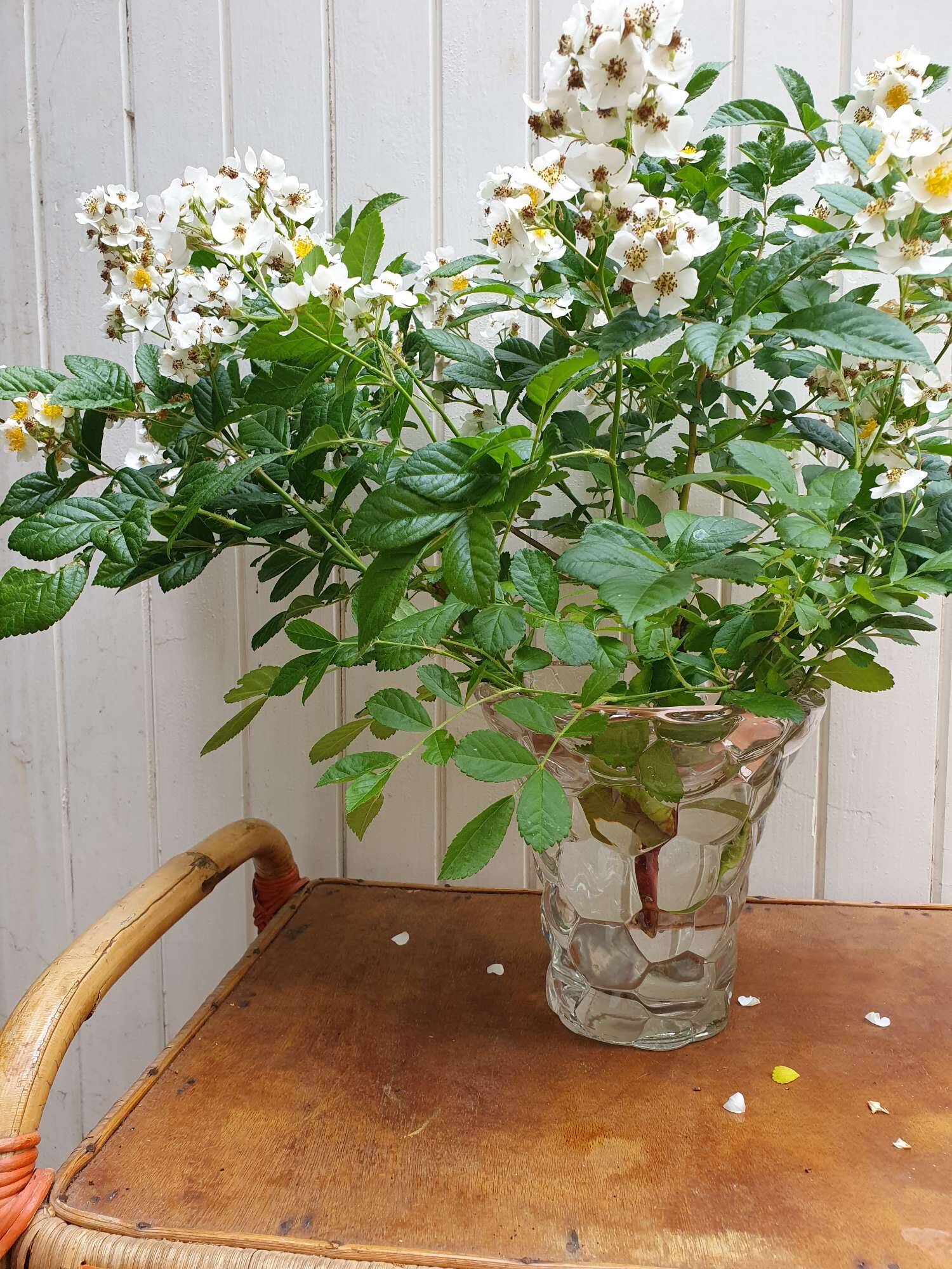 Honeycomb vase p d'avesn