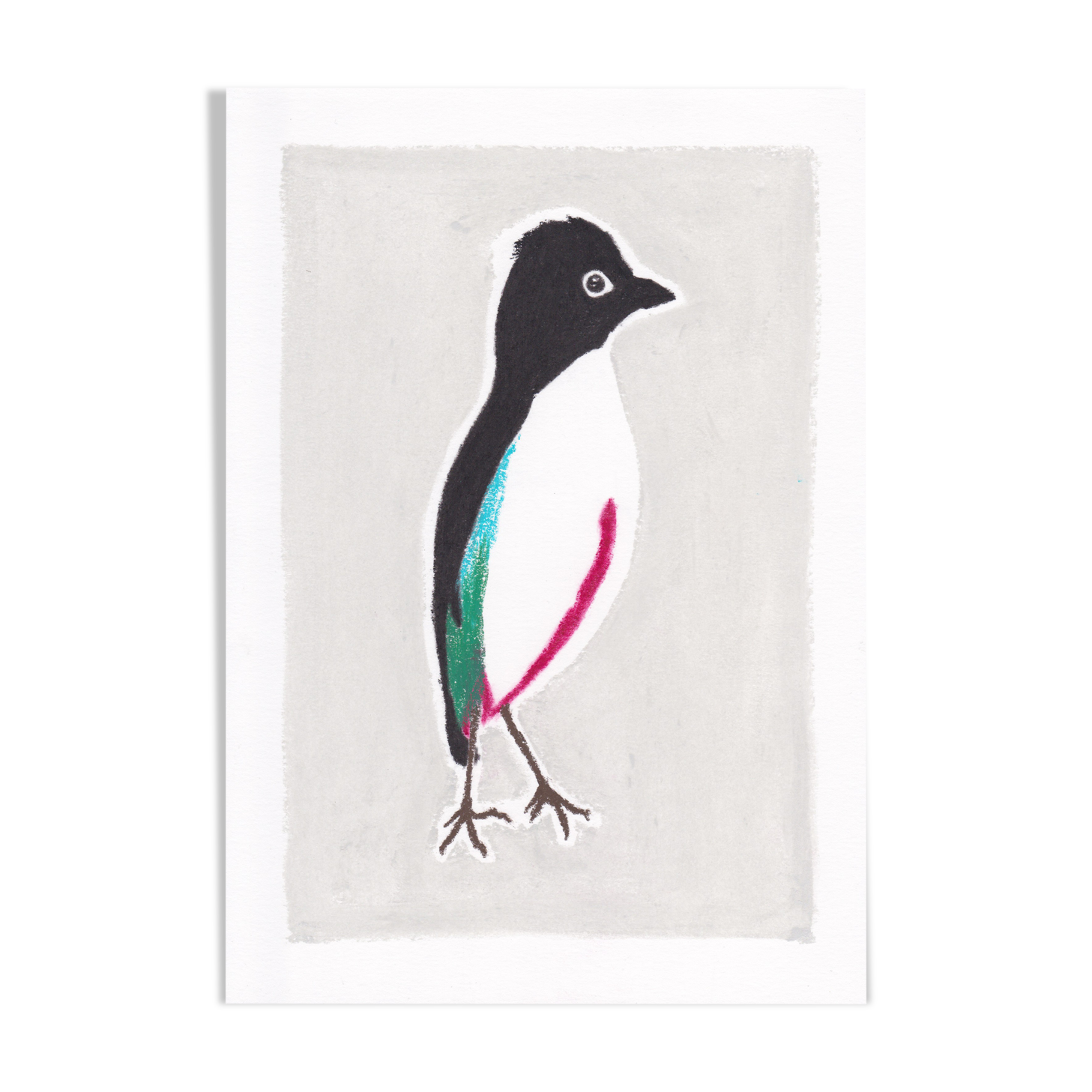Bird "Pitta maxima" - Original drawing