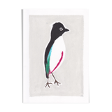 Bird "Pitta maxima" - Original drawing