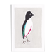 Oiseau "Pitta maxima"dessin original